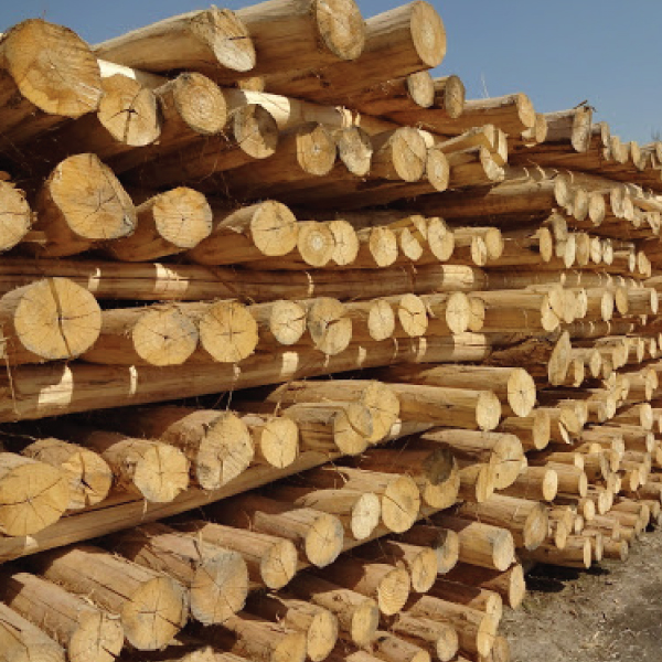 نکته های مهم ورود به بازار صنعت چوب ایران چیست؟!