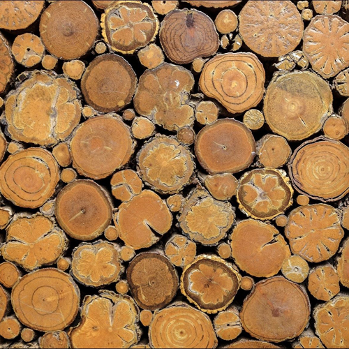 انواع چوب و ویژگی‌های چوب‌های گوناگون – بخش اول