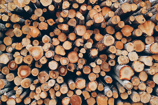 چوب با کیفیت
